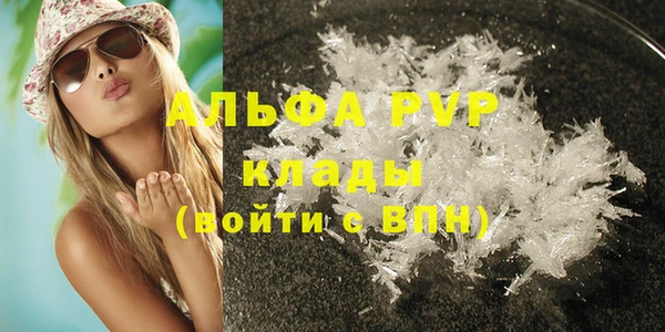 ГАЛЛЮЦИНОГЕННЫЕ ГРИБЫ Бородино