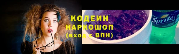 ГАЛЛЮЦИНОГЕННЫЕ ГРИБЫ Бородино