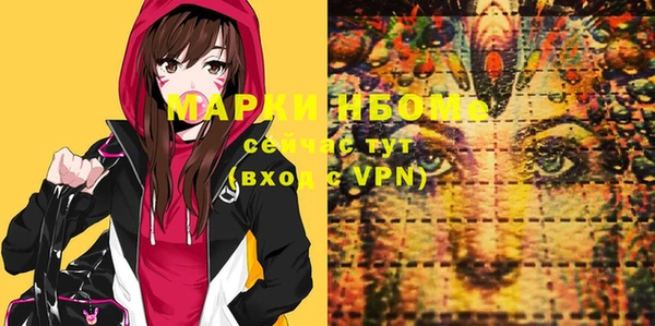 ГАЛЛЮЦИНОГЕННЫЕ ГРИБЫ Бородино