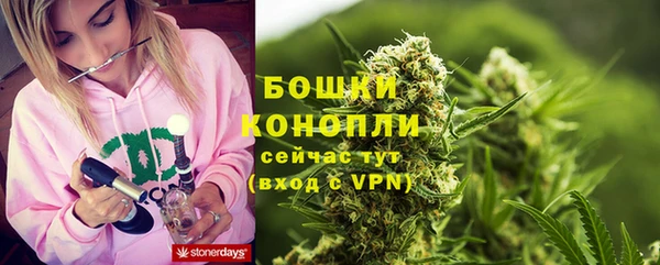 винт Бронницы