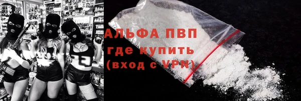 ГАЛЛЮЦИНОГЕННЫЕ ГРИБЫ Бородино