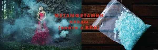 ГАЛЛЮЦИНОГЕННЫЕ ГРИБЫ Бородино